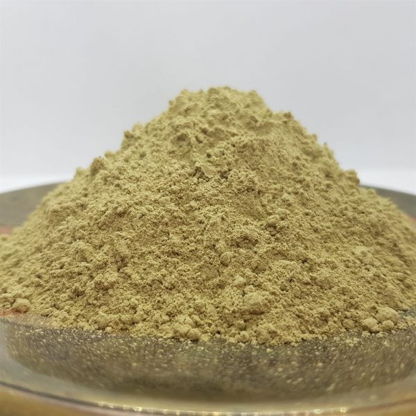 Parisa Fairy-Like Tooth Powder 50g